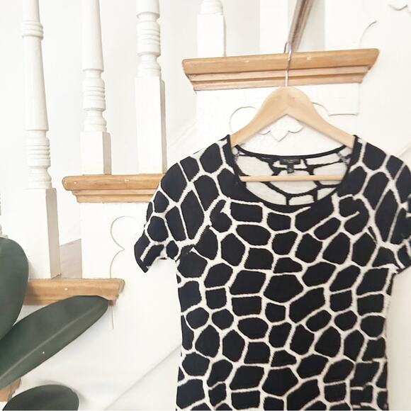 Talbots Giraffe Print Sweater Dress Short Sleeve Knit Scoop Neck Size Petite S - Picture 2 of 5